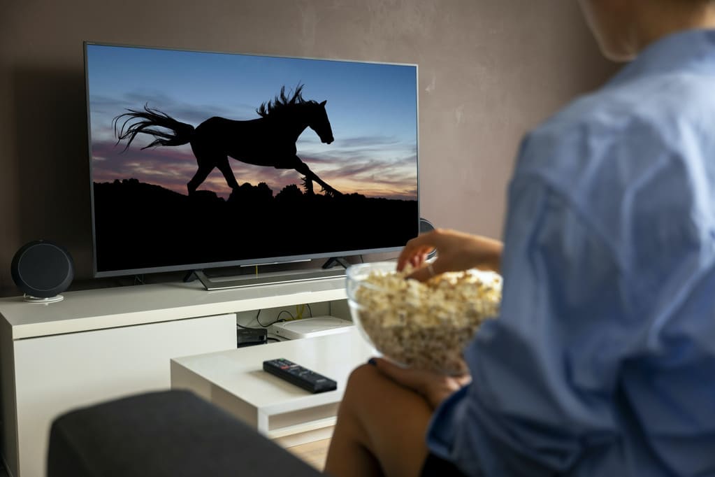 De 9 populairste paardenfilms PaardVisie