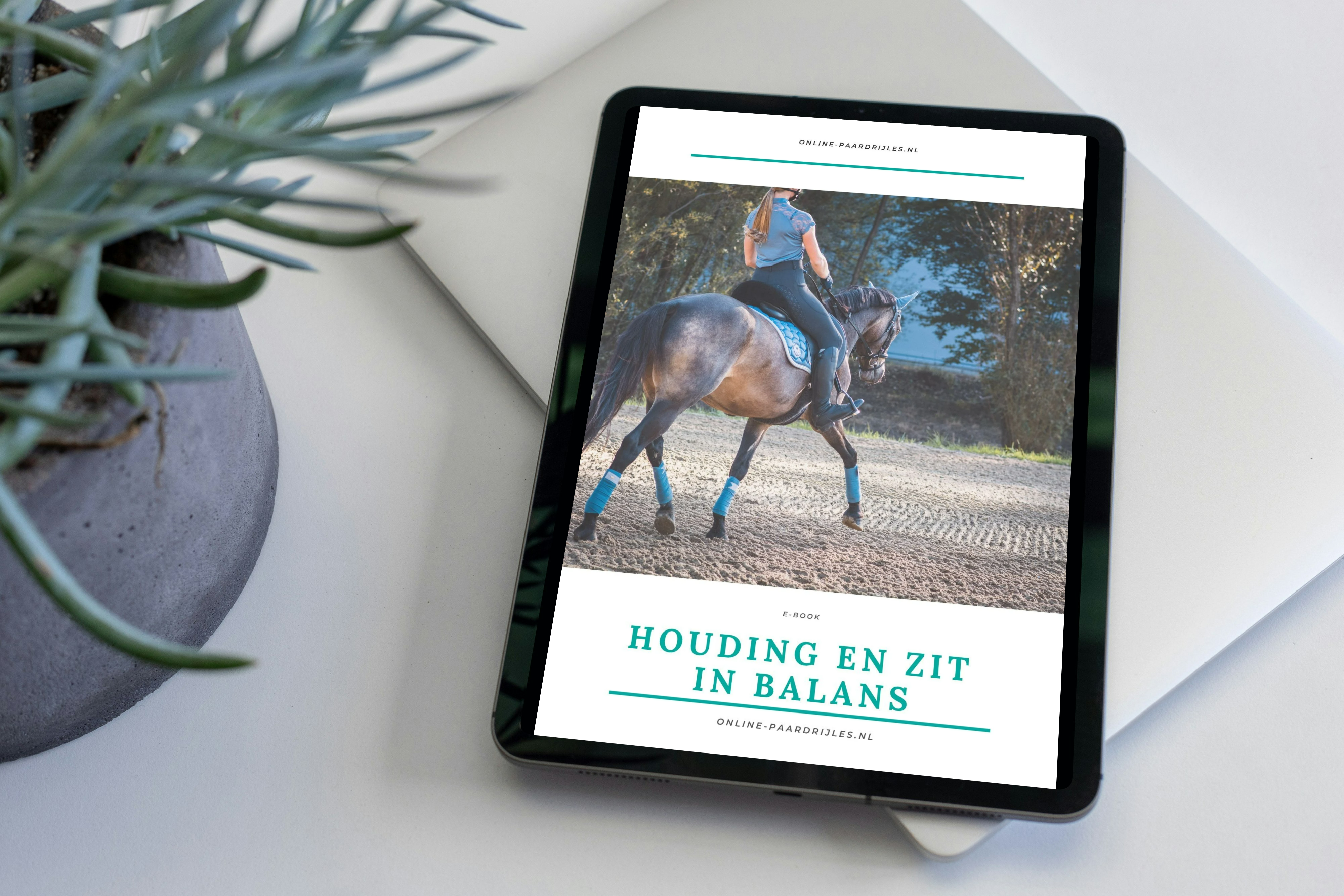 e-book houding en zit